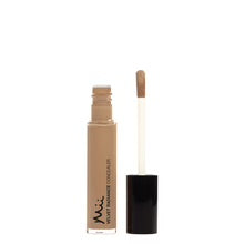 Velvet radiance concealer